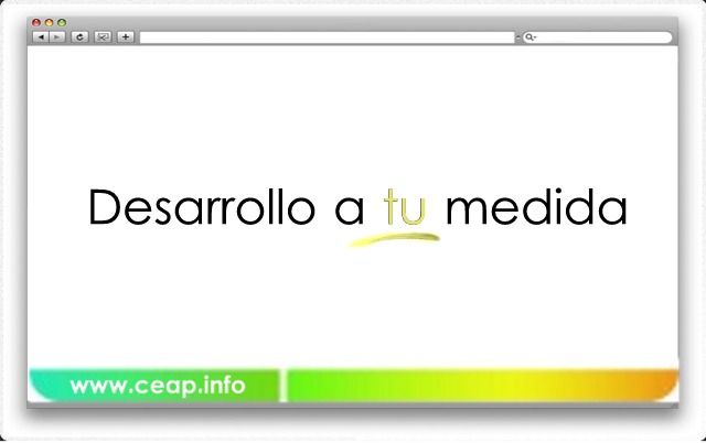 Desarrollo de Aplicaciones|ERP a medida|CEAP INFORMÁTICA VITORIA
